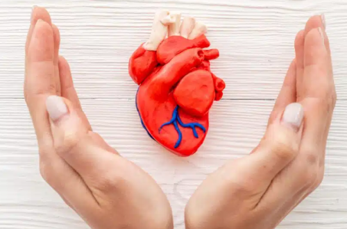 Tips Nutrisi Yang Baik Untuk Kesehatan Jantung