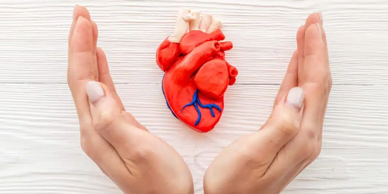 Tips Nutrisi Yang Baik Untuk Kesehatan Jantung