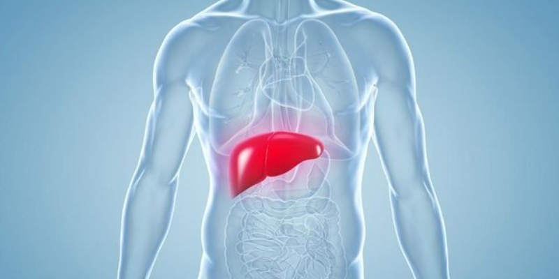 Menjaga Fungsi Dari Hati Agar Tetap Sehat