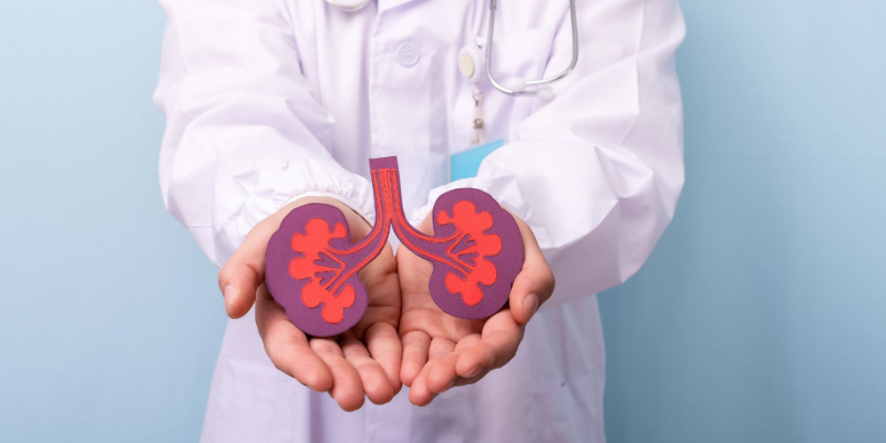 Menjaga Nutrisi Makanan Untuk Kesehatan Ginjal